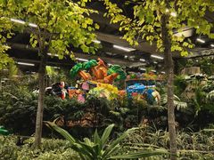 -南宫五洲植物乐园