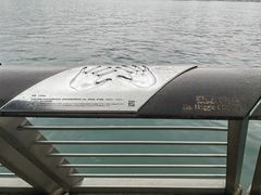 -星光大道