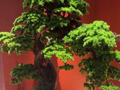 -阿伟海鲜楼·福建菜(延寿店)