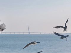 -深圳湾公园(南山区)