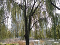 -西安市长乐公园