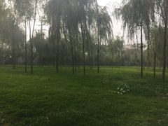-关东文化园