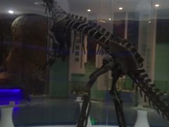 -金钉子远古世界景区