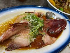 清蒸东星斑-尖沙咀酒店(大沥店)