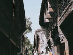 -乌镇西栅景区