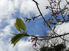 -火炉山森林公园