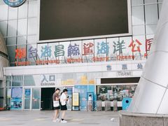 -烟台海昌鲸鲨海洋公园