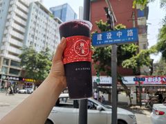 树夏桑葚-树夏(建设路店)