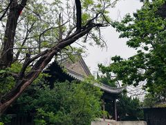 -云龙山