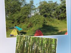 -武陵山森林公园