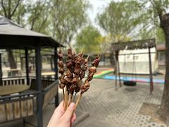 -杨柳青庄园