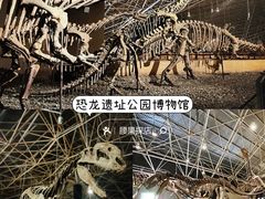 -世界恐龙谷景区