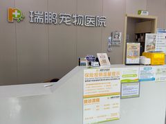 -瑞鹏宠物医院·骨外科·心肾科·肿瘤科(九亭店)