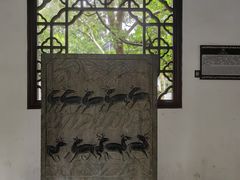 -上海醉白池公园
