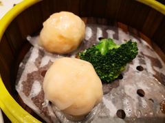粤港虾饺皇-粤港餐厅(禹州商业广场店)