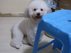 -佳雯宠物医院(四明中路分院)