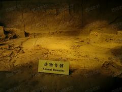 -汉景帝阳陵博物院