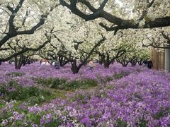 -江苏三台山国家森林公园