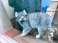 -青藏高原野生动物园
