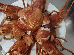 -西瓜小镇