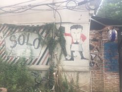 -Hair Solo