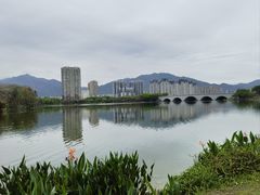 -飞来湖湿地公园