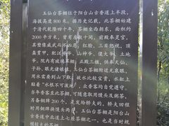 -阳台山自然风景区