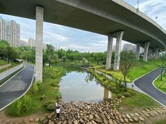 -洋湖国家湿地公园