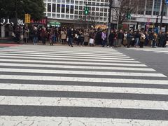 -涩谷全向十字路口