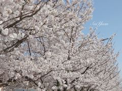 -青岛大珠山景区