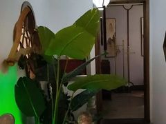 -徽镇小厨·经典徽菜(马连道店)