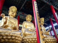 -九华山风景区