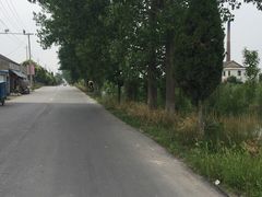 -黄海国家森林公园