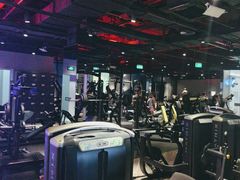 -威尔仕健身·游泳(KING88店)