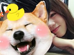 -OPEN開全日自助餐厅·西餐·海鲜(佛山希尔顿酒店)