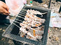 -上海共青森林公园