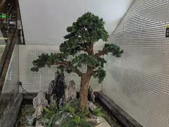 -怀德酒楼·粤菜·海鲜·茶点(宝安国际机场店)