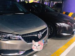 场地-白玉兰广场停车场