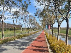 -上海长兴岛郊野公园