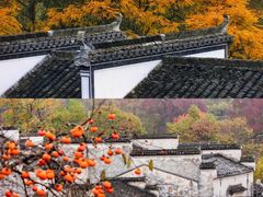 -塔川景区