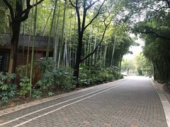 -苏州河梦清园环保主题公园