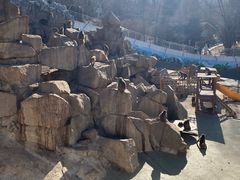 -青藏高原野生动物园