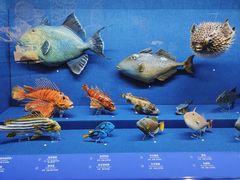 -浙江自然博物院(杭州馆)
