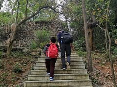 -天鹿湖森林公园