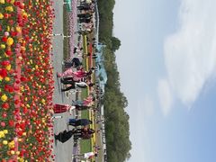 -北陵公园