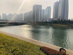 -郑东新区湿地公园