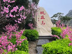 -桃花岛风景旅游区