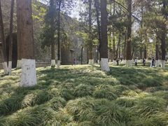 -明故宫遗址公园