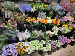 -ChaKo Flora ·茶子花艺 (市北店)