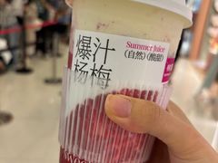 多肉生酪杨梅-树夏(来福士店)